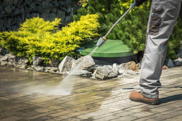 Best Spring Cleaning  in Quincy, CA